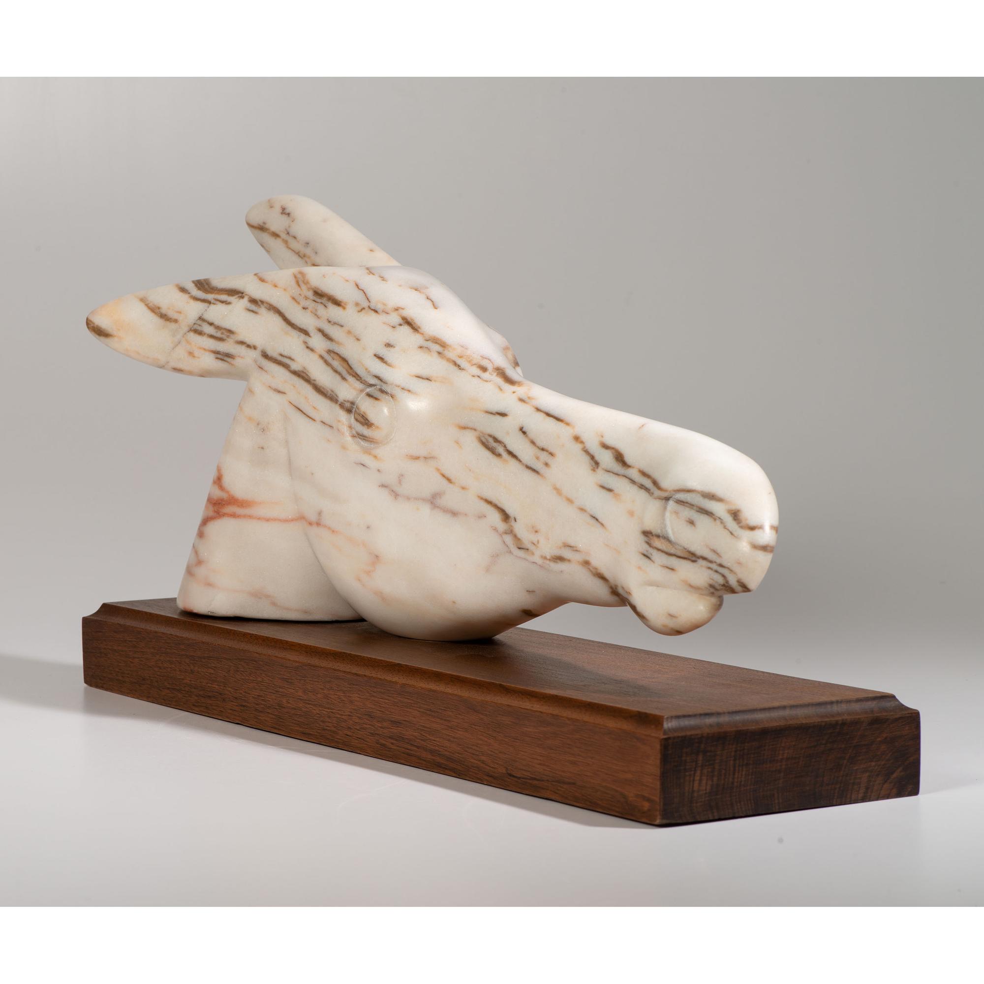 untitled, horse