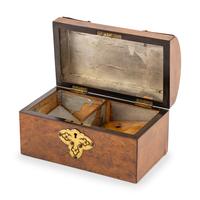 An English Rosewood and Brass Mounted Tea Caddy