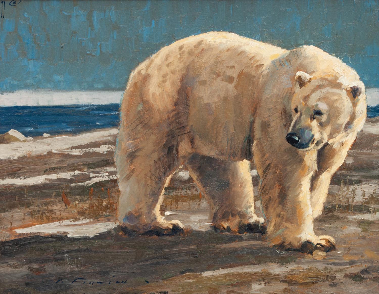 Polar Strolled