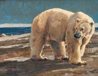 Polar Strolled
