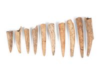 Antler Bone Projectile Points