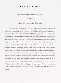 A Pair of Botanical Prints