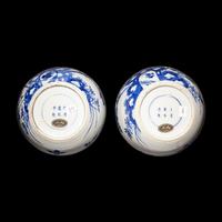 A Pair of Chinese Blue and White Porcelain 'Peonies and Pheasant' Ginger Jars, Guangxu Period 清光緒 青花牡丹錦鷄圖蓋罐一對