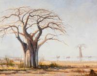 Shimmering Heart - Baobab Tree , 2009