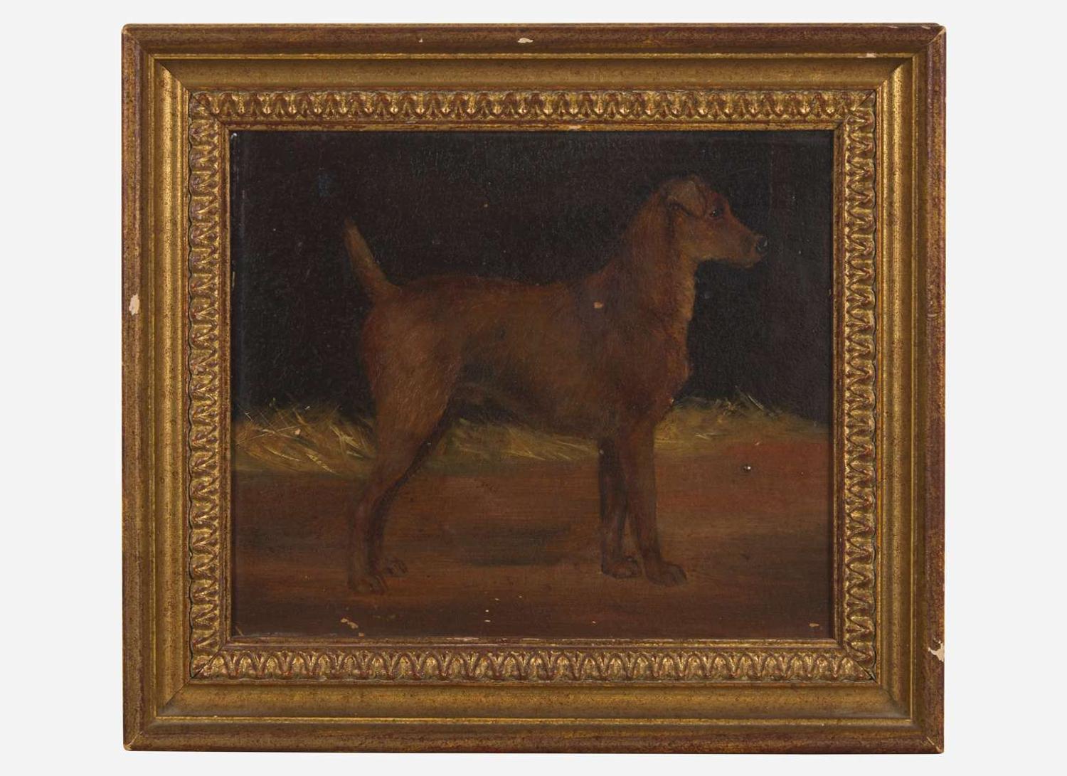 British School (19th Century) - Portrait of a Dog in Profile