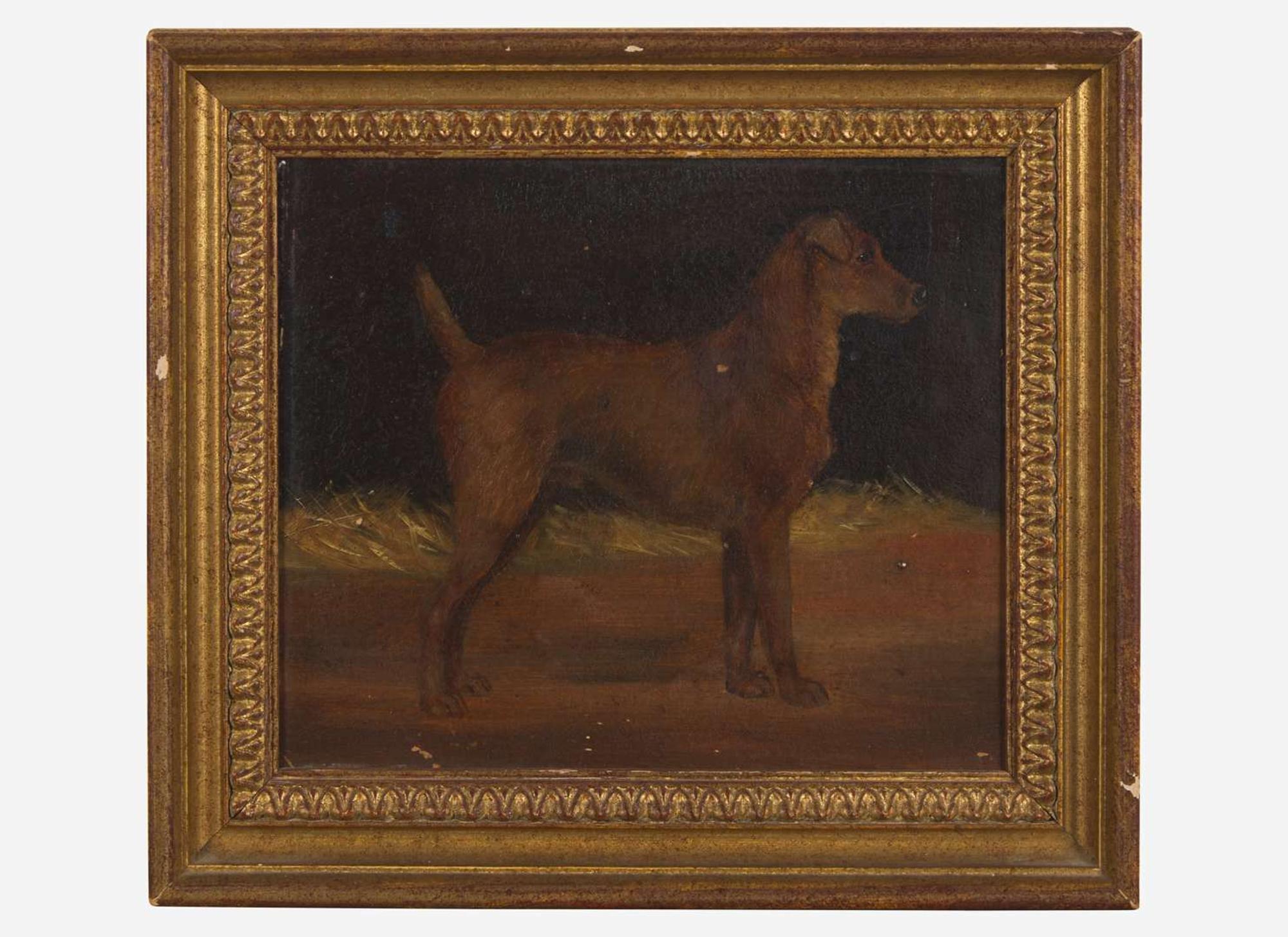 British School (19th Century) - Portrait of a Dog in Profile
