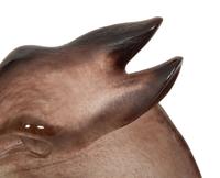 A Daum Pâte de Verre Appalousa Sculpture