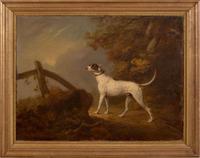 Attributed to George Townley Stubbs (British, 1756–1815) - Portrait of a Pointer