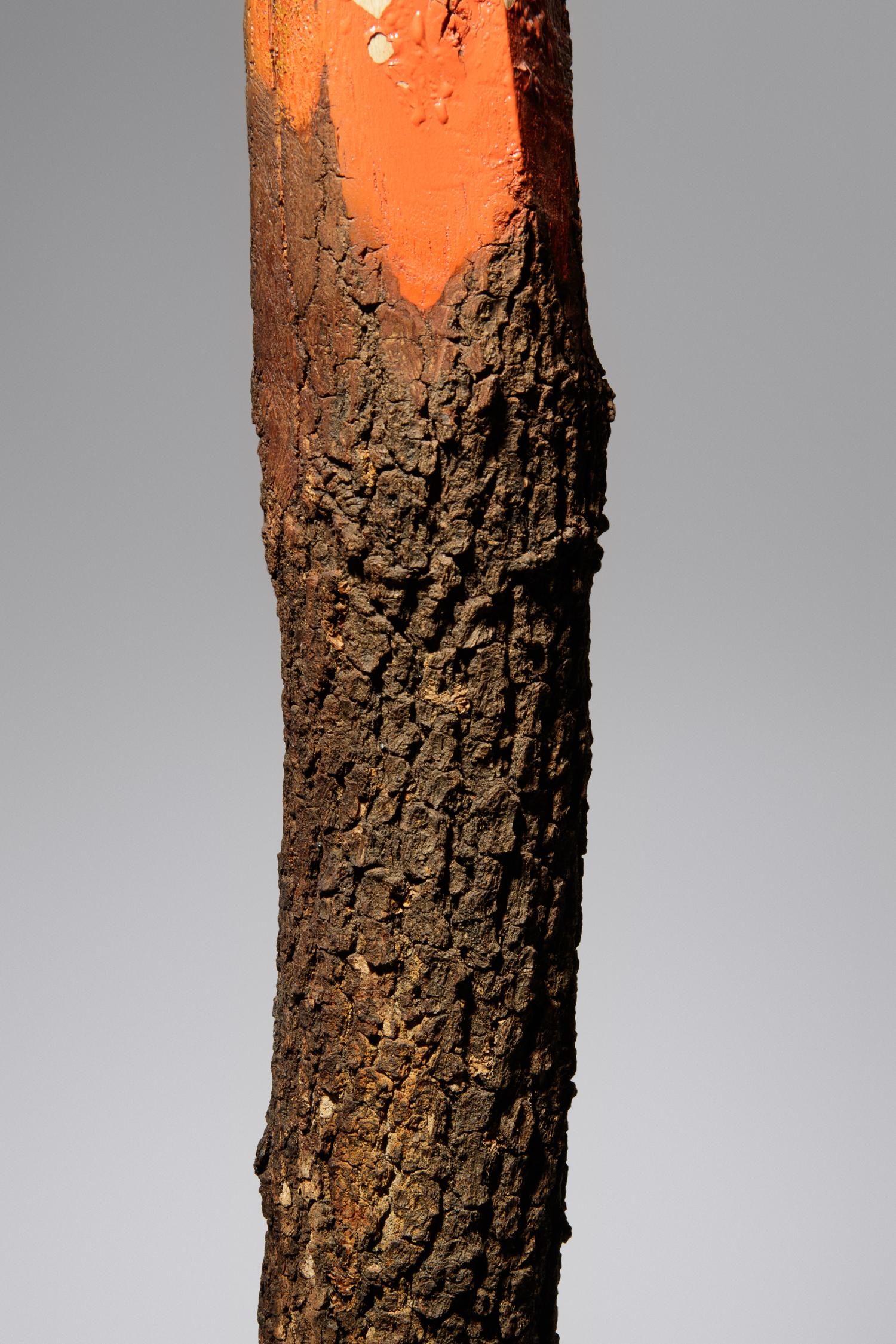 Red Pencil