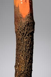 Red Pencil