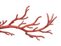 A Large Painted Metal Model of Coral on a Pierce Carved Hardwood Stand