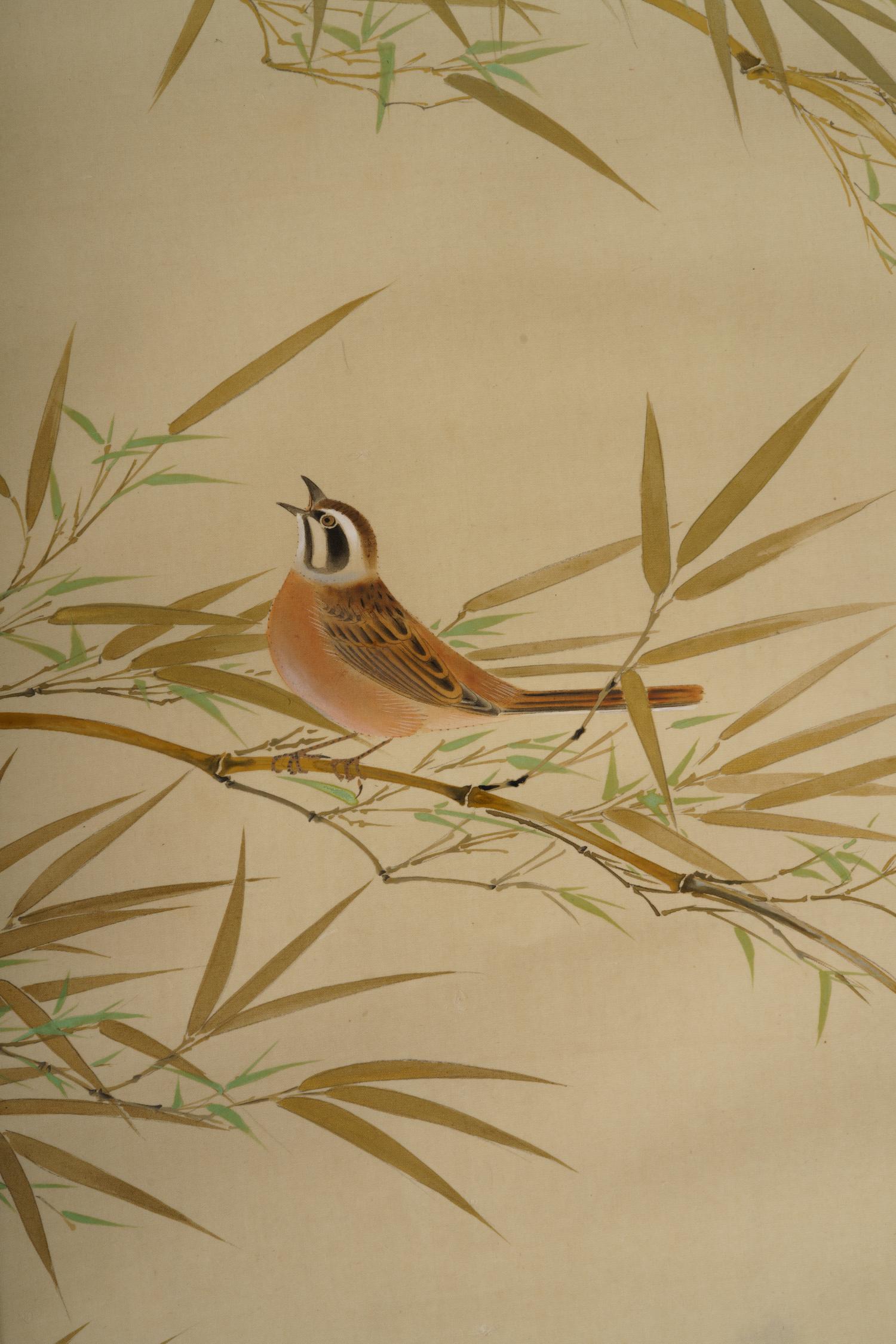Hosoai Shukoku