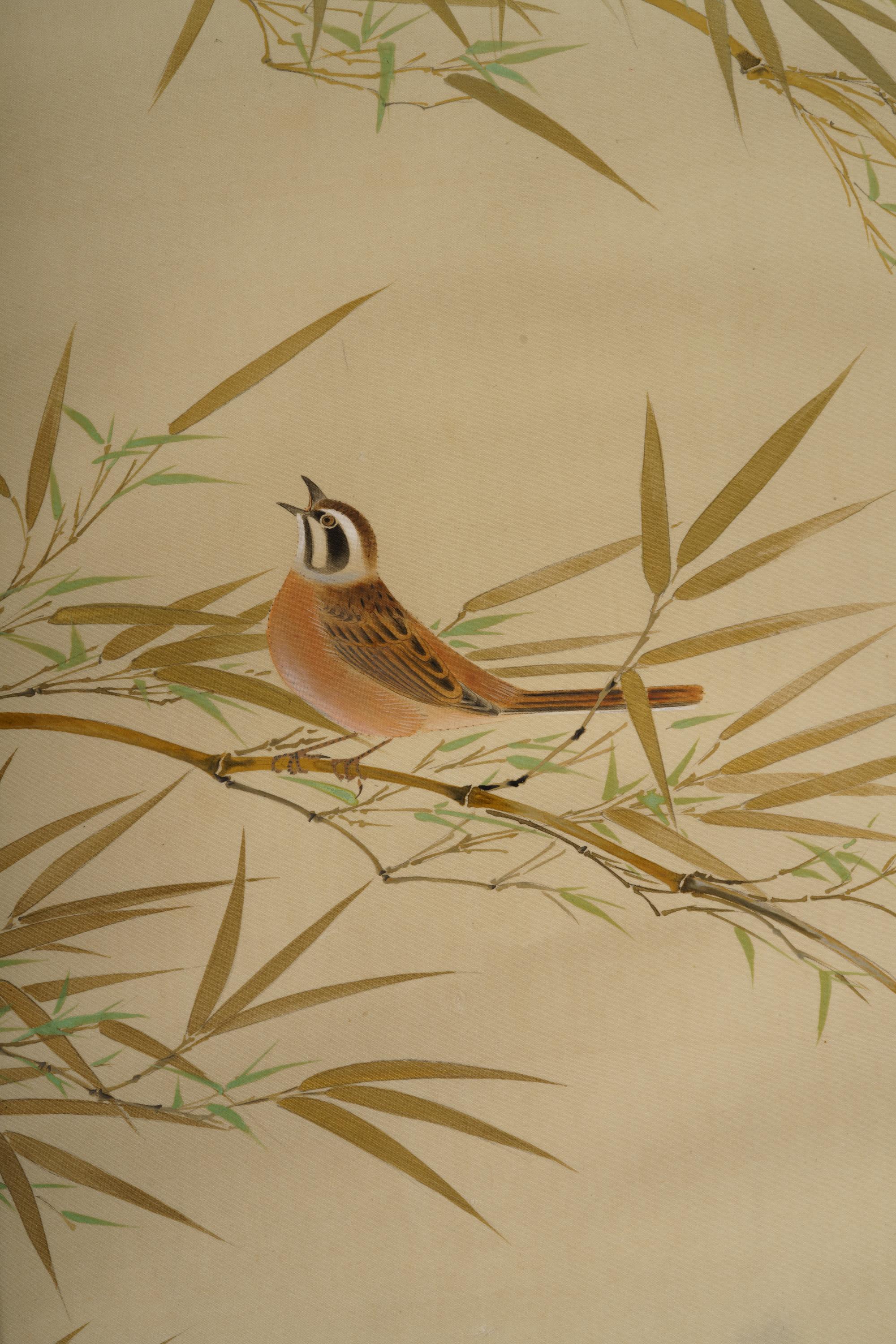 Hosoai Shukoku