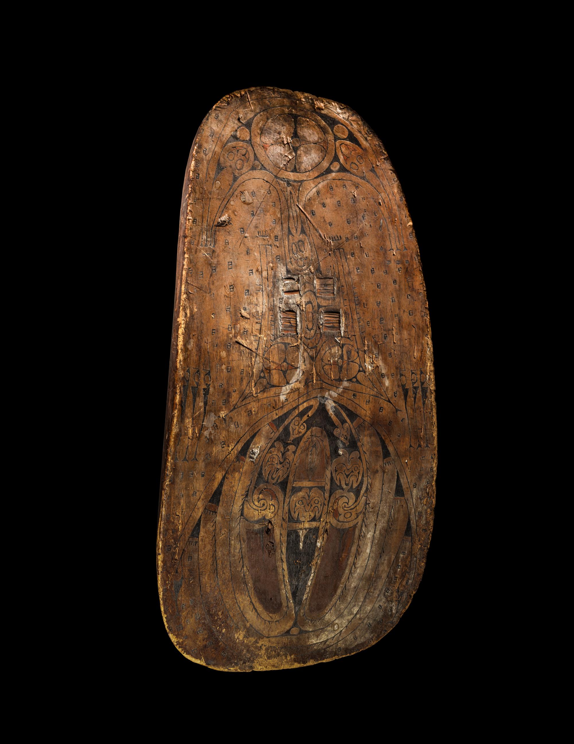An Oceanic Painted Wood Shield