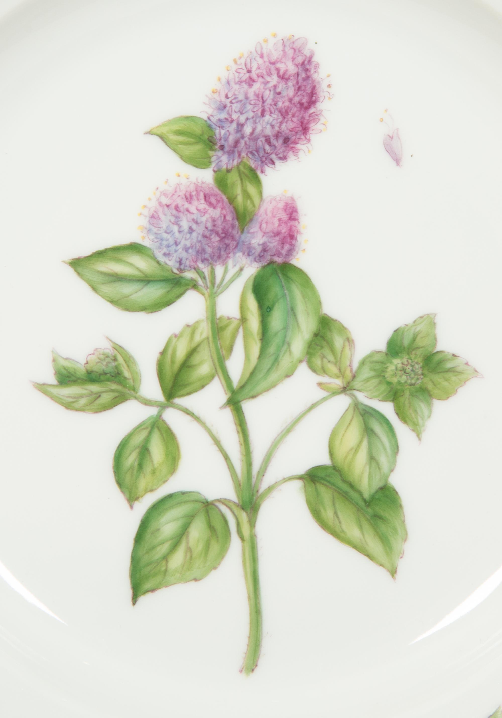 Fourteen Royal Copenhagen Flora Danica Porcelain Salad Plates