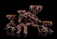 A Carved Burlwood Stand Height 12 1/2 inches.