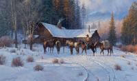 A Refuge from the Cold
