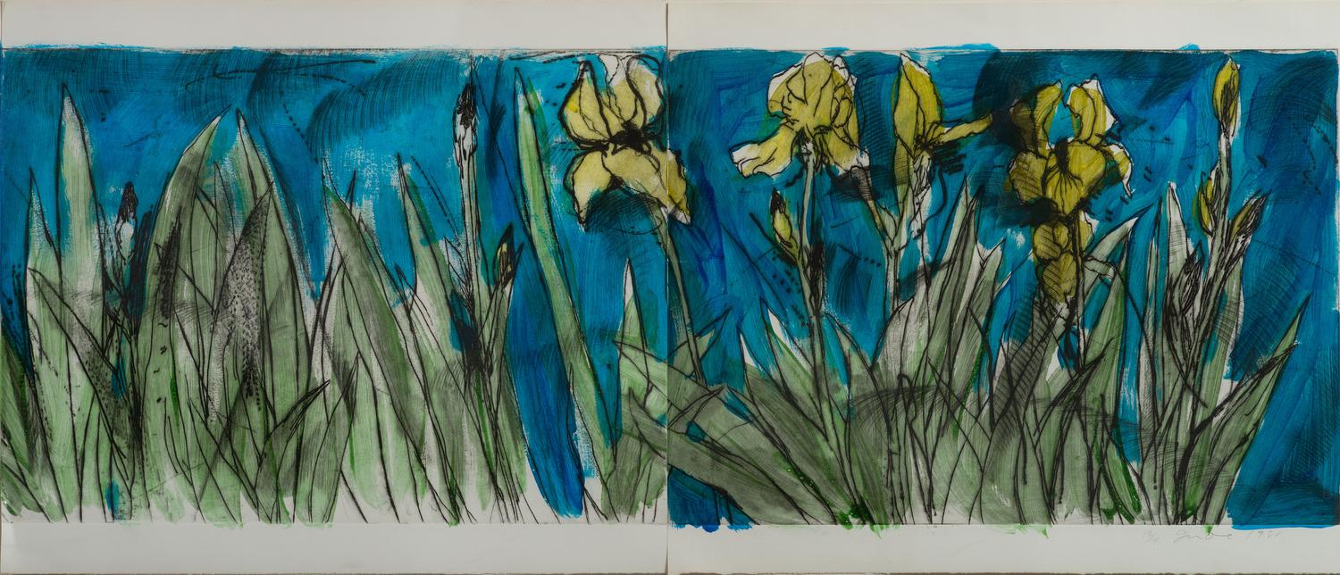 Rachel Cohen's Flags, State II, 1981