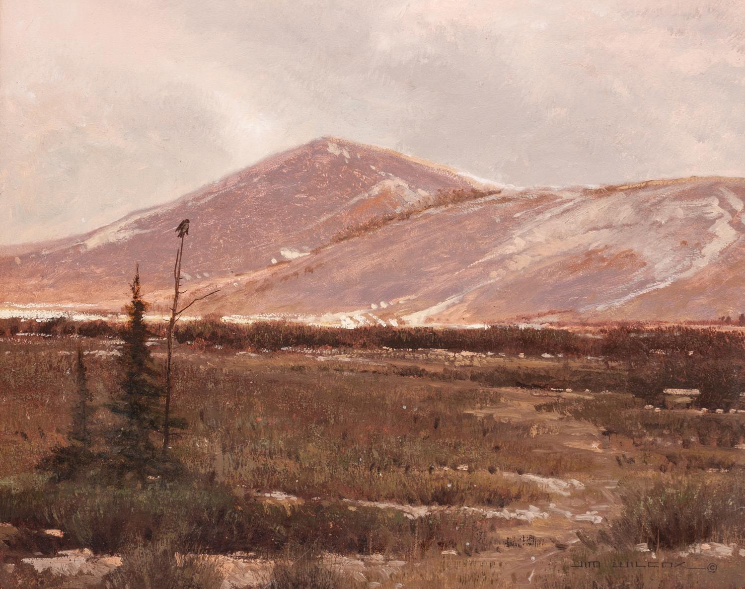 Elk Refuge Butte