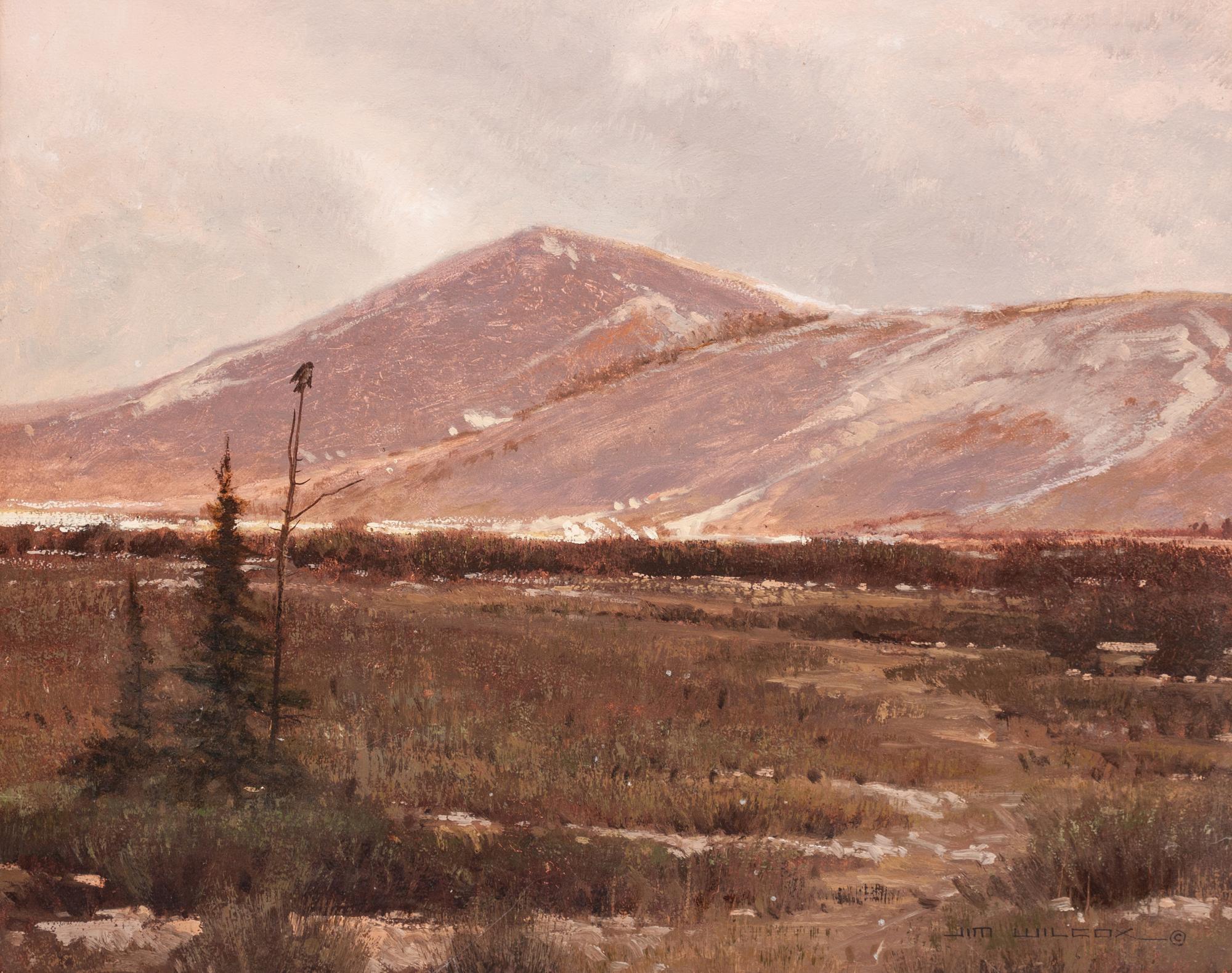 Elk Refuge Butte