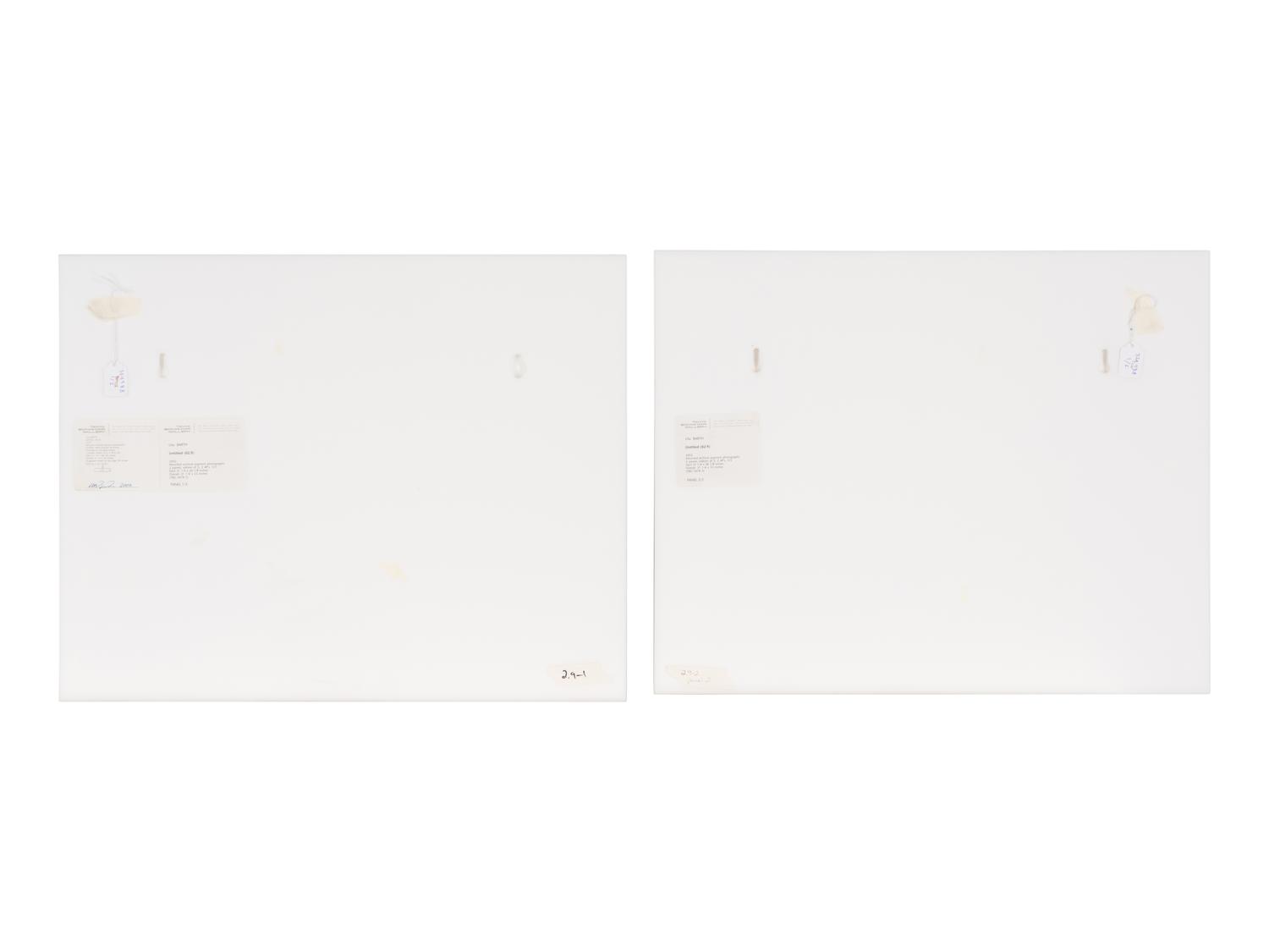 Untitled (02.9) , 2002 (diptych)