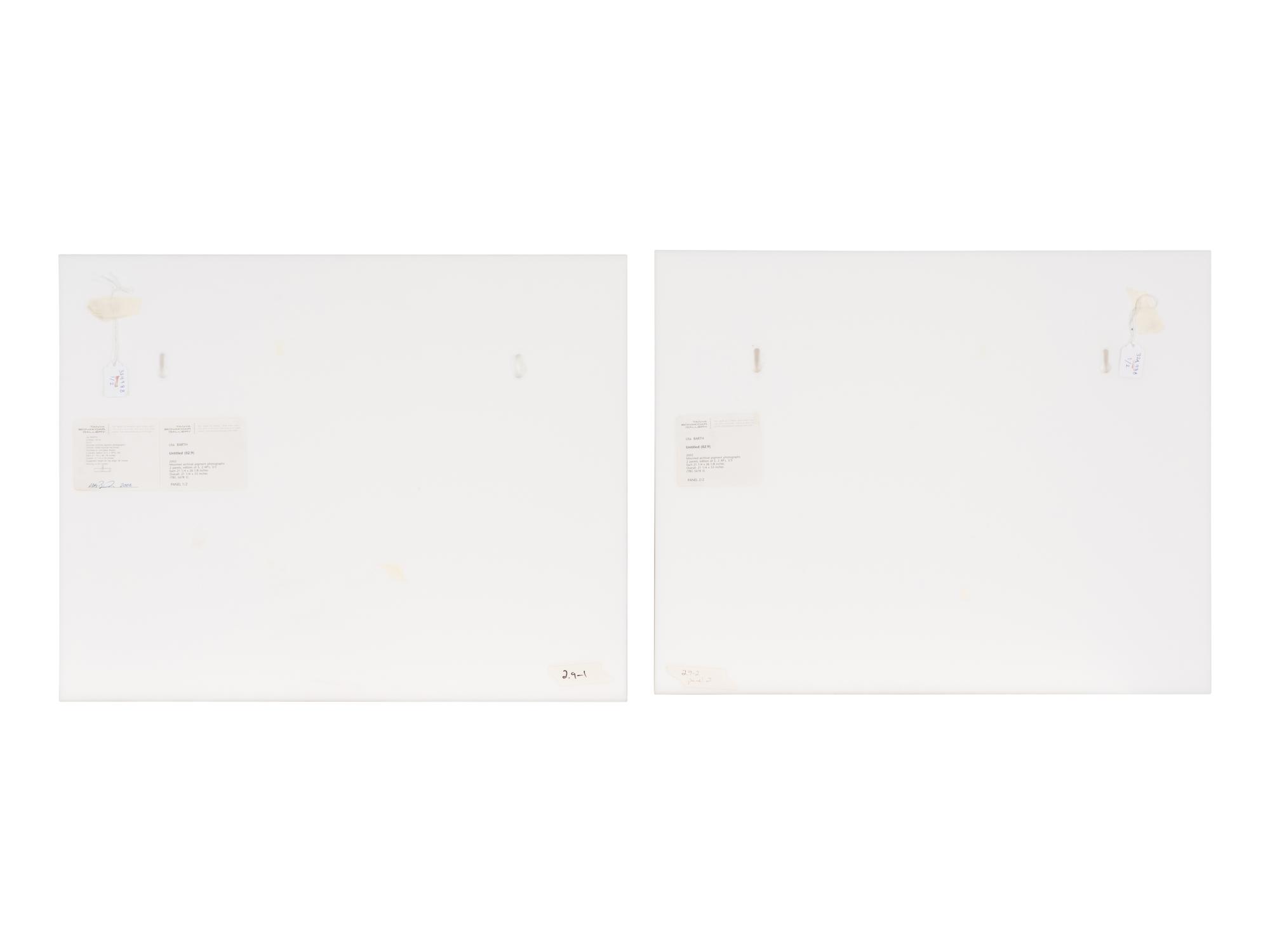 Untitled (02.9) , 2002 (diptych)