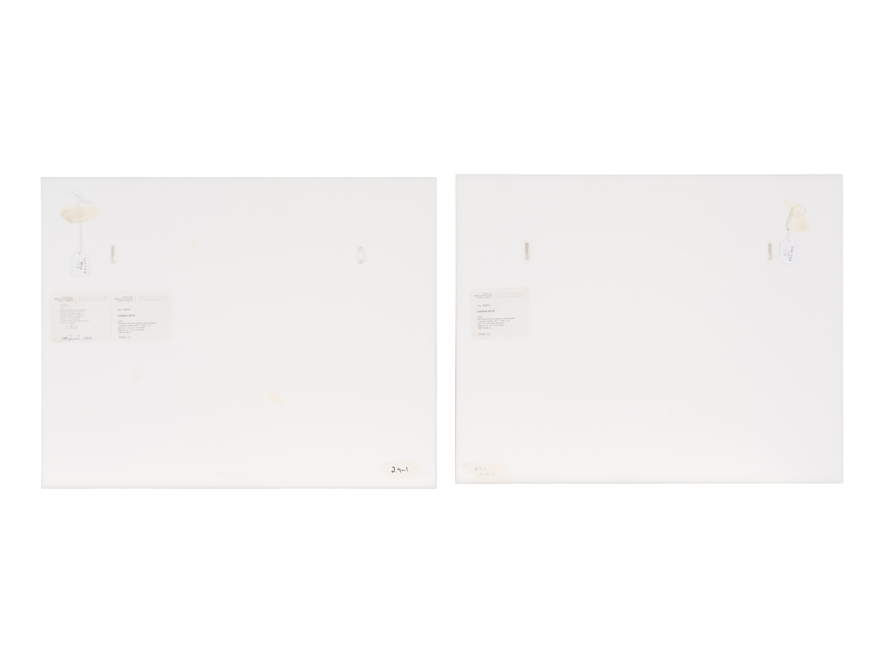 Untitled (02.9) , 2002 (diptych)