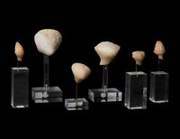 A Group of 6 Anatolian Marble Heads