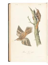 [AMERICANA]. AUDUBON, John James (1785-1851). The Birds of America, from Drawings Made in the United States and their Territories . New York and Philadelphia: J.J. Audubon and J.B. Chevalier, [1839-] 1840-1844.