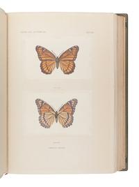 DENTON, Sherman Foote (1856-1937). As Nature Shows Them: Moths and Butterflies East of the Rocky Mountains. Boston: Bardlee Whidden, 1900.
