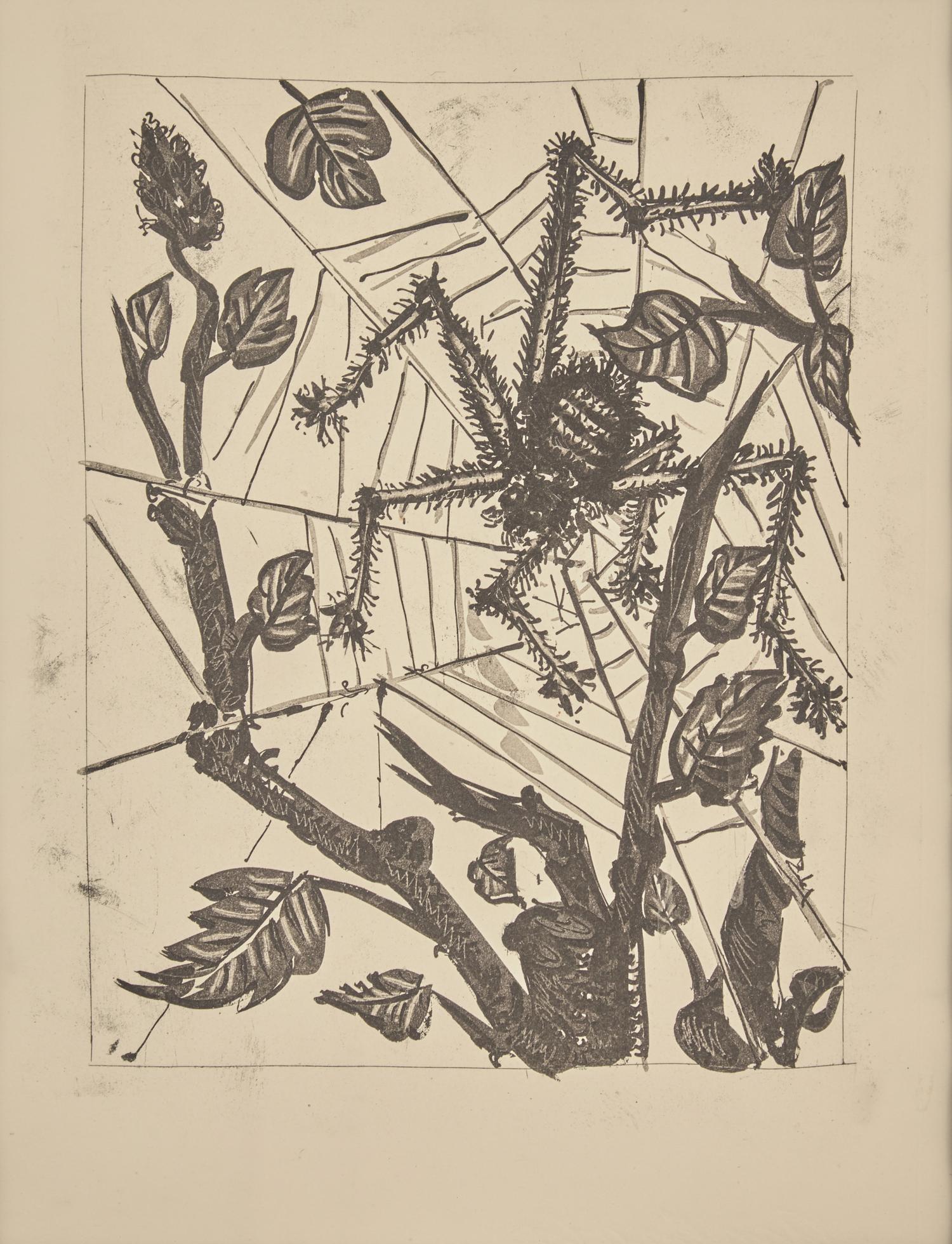 A group of six prints from L'Histoire Naturelle (Le Chevre (The Goat); Le Crapaud (The Toad); Le Chien (The Dog); Le Taupeau (The Bull); Le Dindon (The Turkey); L'Araignee (The Spider)) , 1942