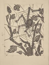 A group of six prints from L'Histoire Naturelle (Le Chevre (The Goat); Le Crapaud (The Toad); Le Chien (The Dog); Le Taupeau (The Bull); Le Dindon (The Turkey); L'Araignee (The Spider)) , 1942