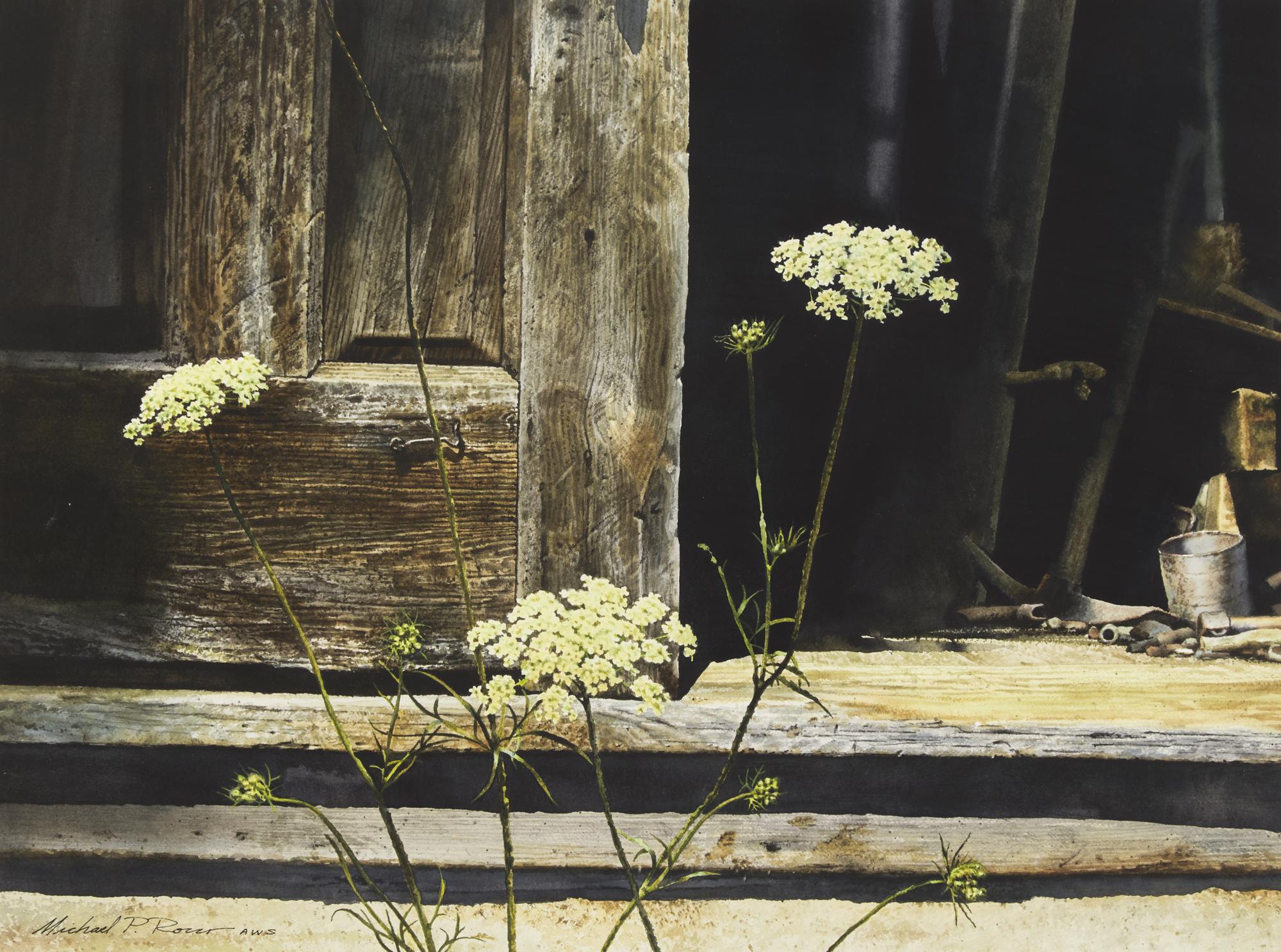 Queen Anne's Lace