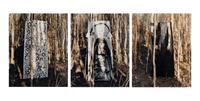 Untitled II (Everglades), A Triptych, 2003