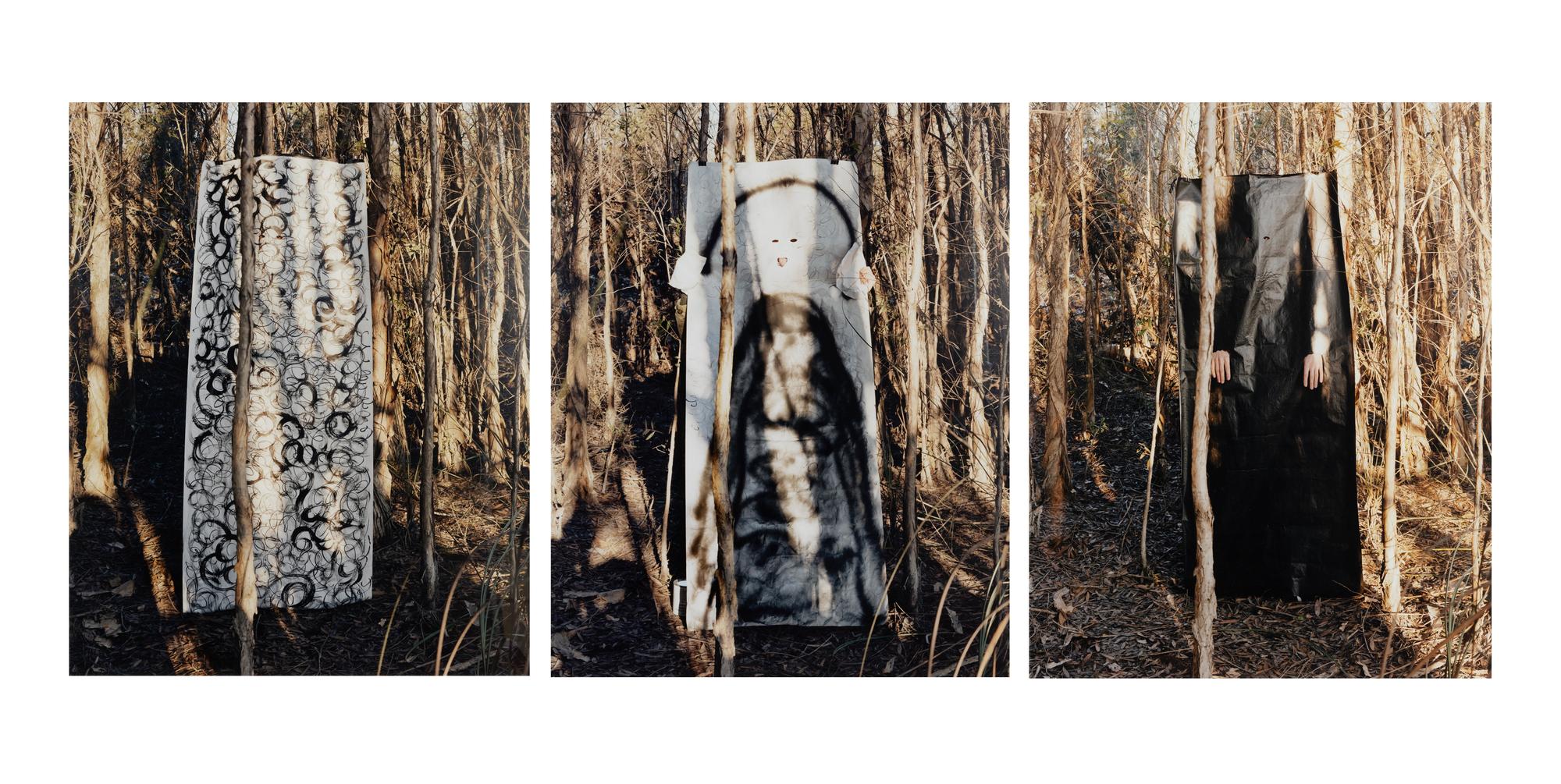 Untitled II (Everglades), A Triptych, 2003