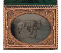 [CIVIL WAR]. Quarter plate tintype featuring a Union cavalryman with his horse.