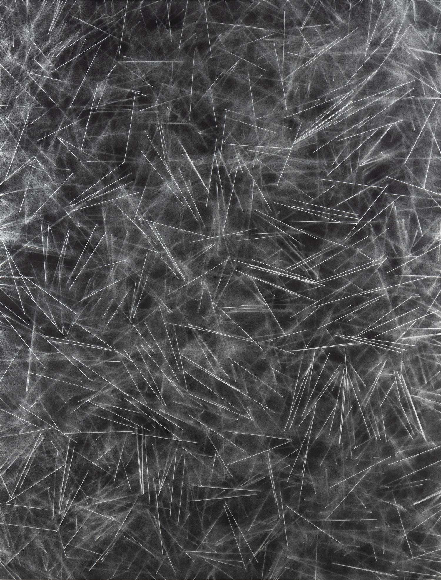 Untitled (Pasta Painting) , 2013