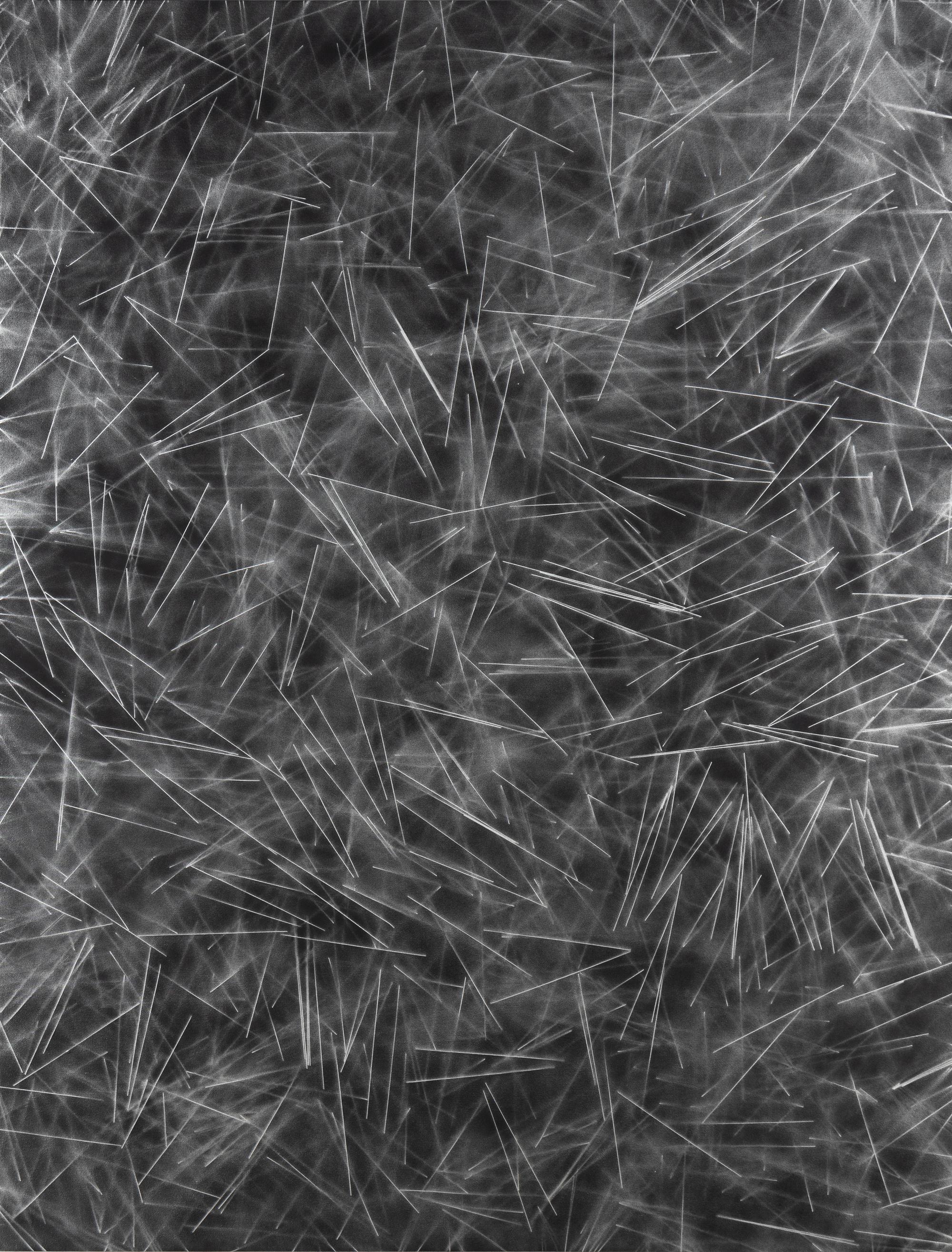 Untitled (Pasta Painting) , 2013