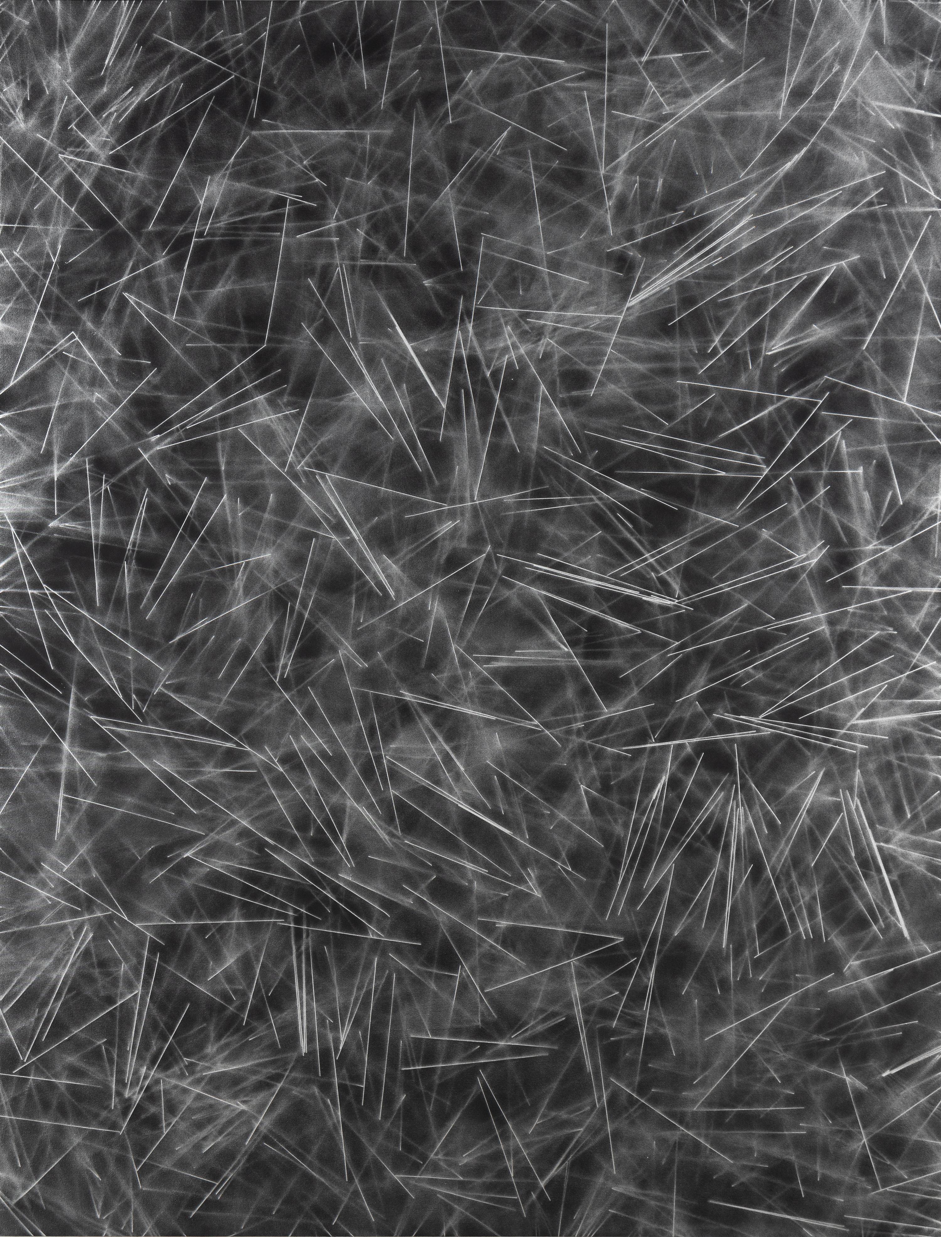 Untitled (Pasta Painting) , 2013