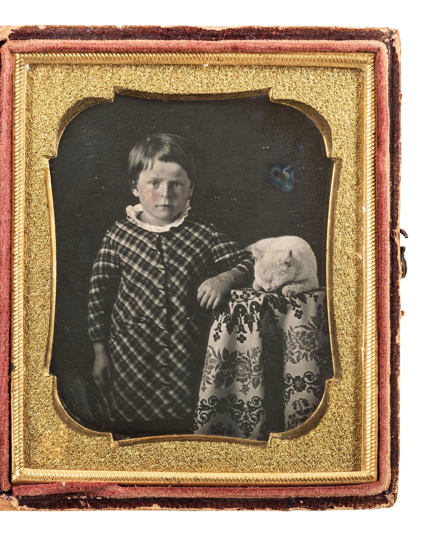 [EARLY PHOTOGRAPHY]. Sixth plate daguerreotype of a young boy standing beside a cat at rest.