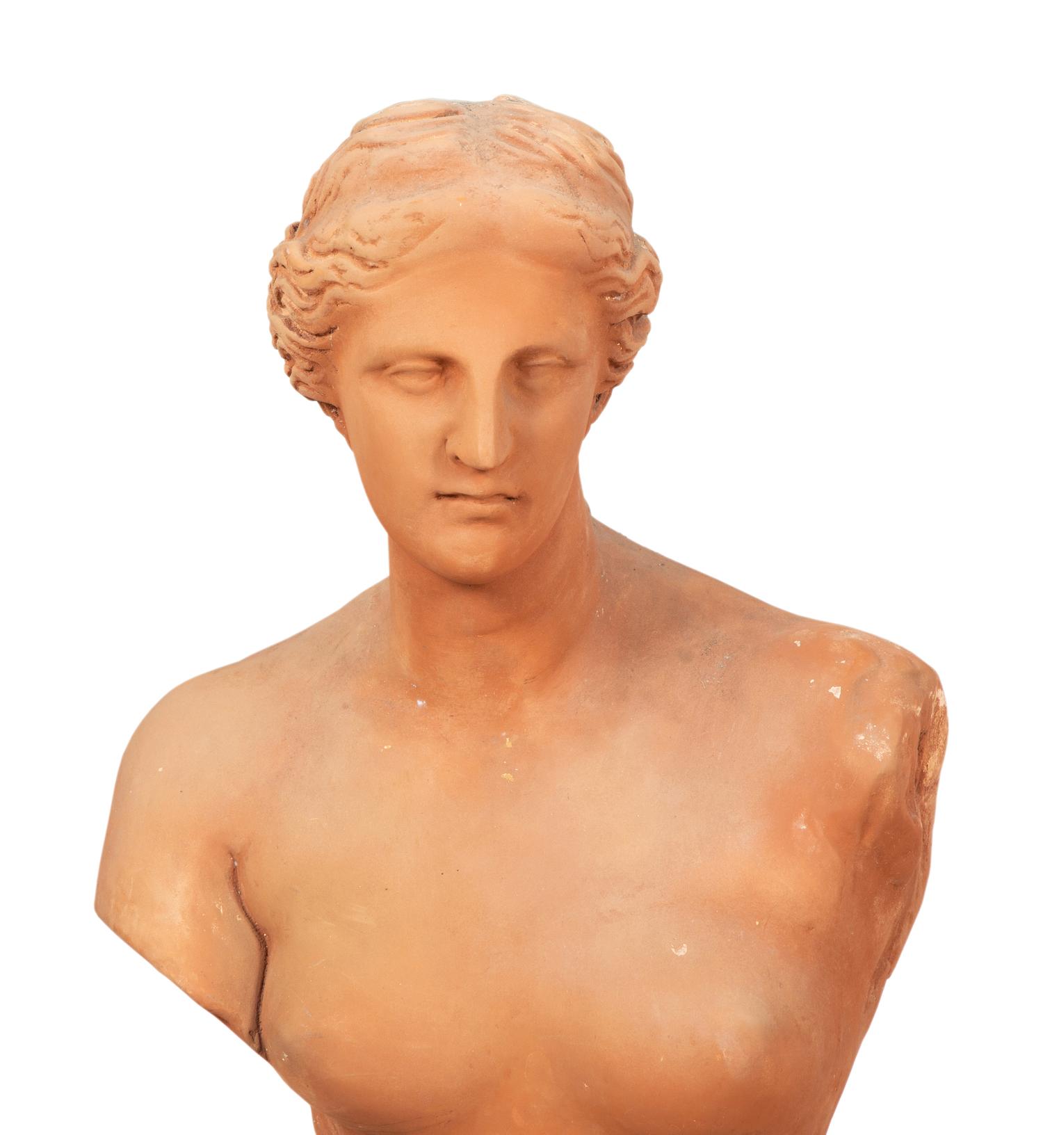 A Pair of Terracotta Busts on Pedestals