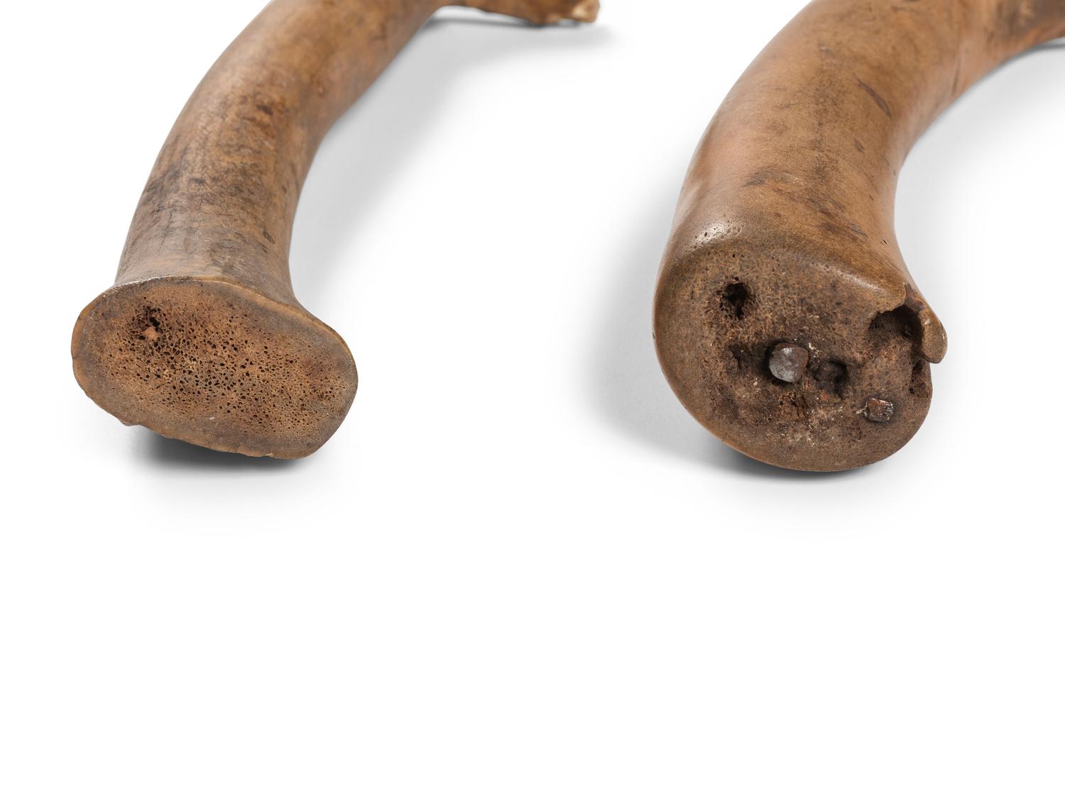 Blackfeet Elk Antler Hide Scraper