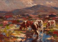 Cropers Cattle