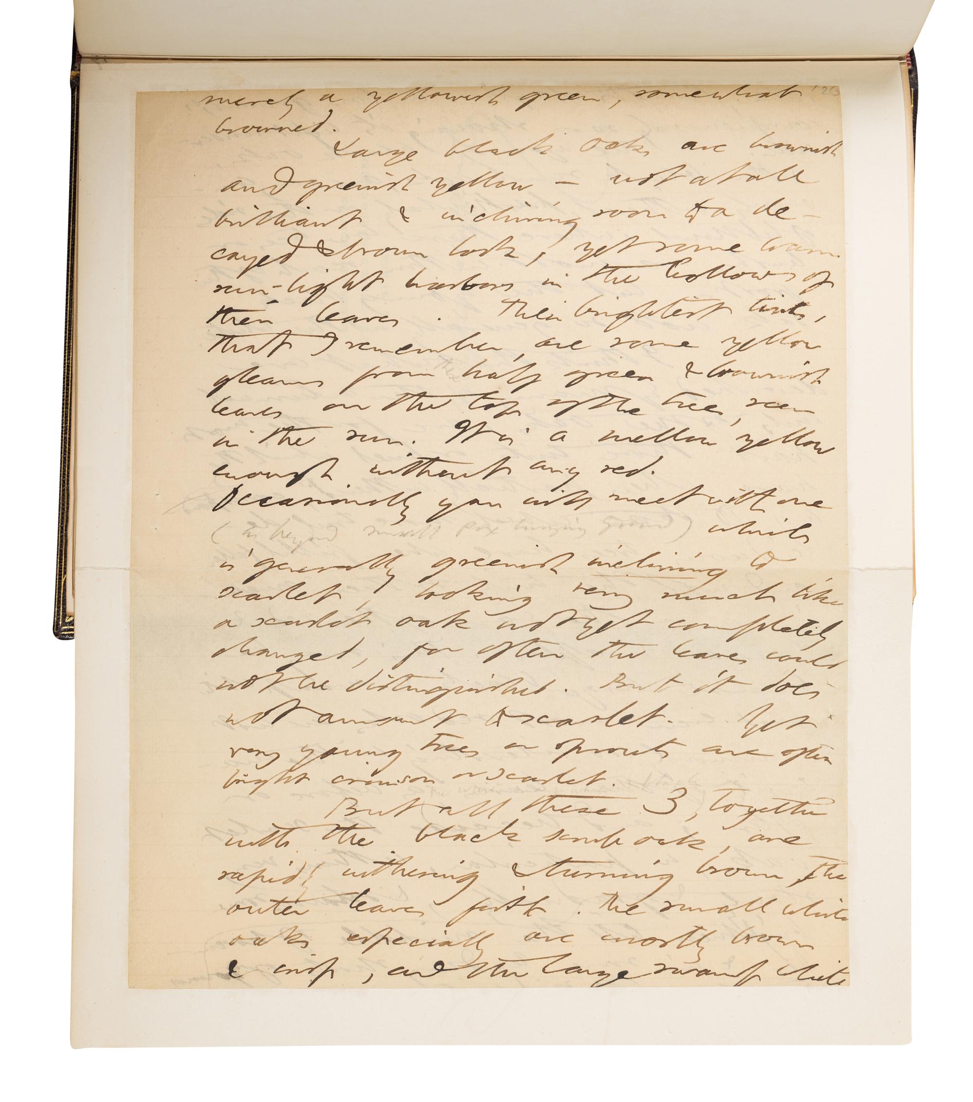 [BINDINGS]. THOREAU, Henry David (1817-1862). The Writings of Henry David Thoreau. Boston and New York: Houghton Mifflin and Company, 1906.