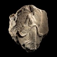 A Roman Marble Oscillum with a Dancing Maenad
