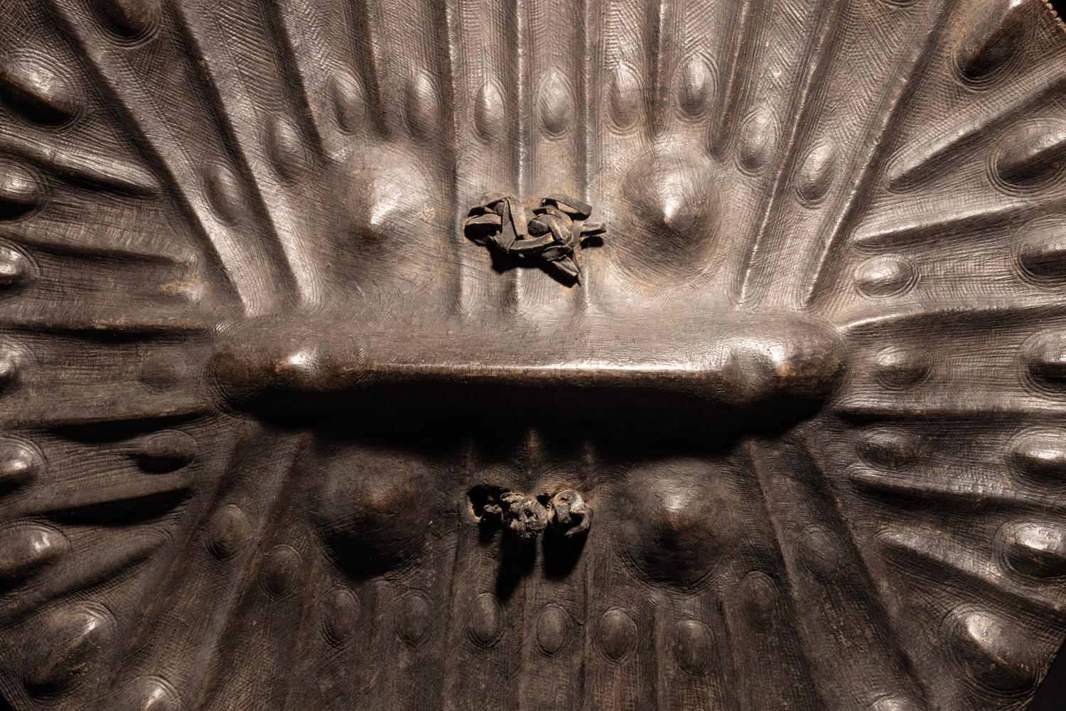 An Amarro Hide Shield
