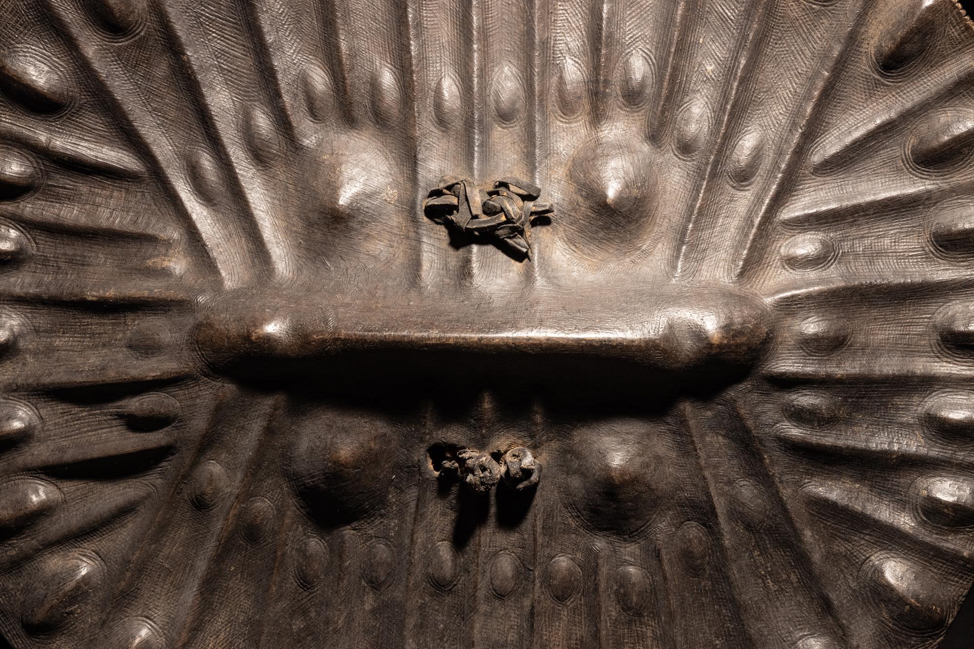 An Amarro Hide Shield