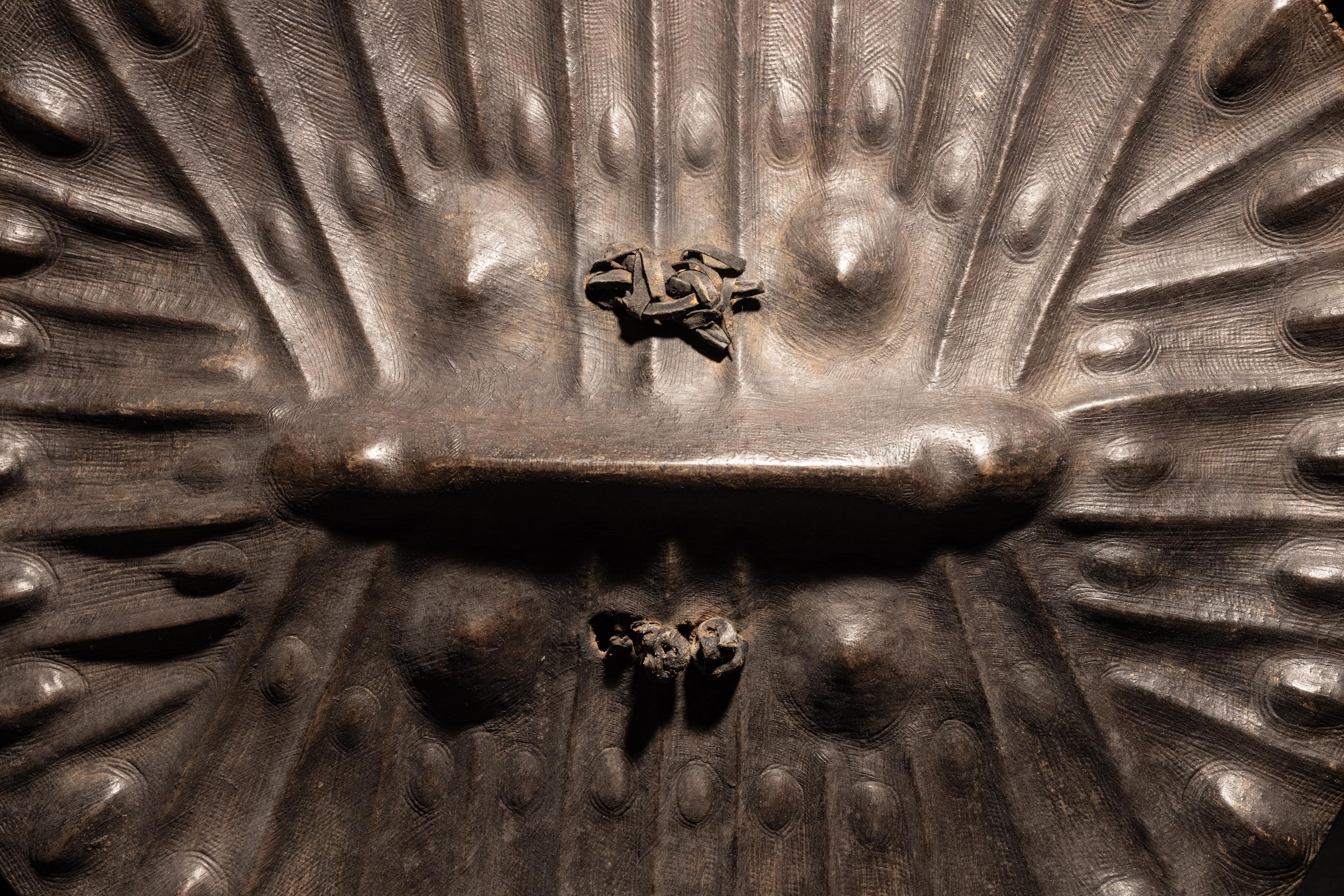 An Amarro Hide Shield
