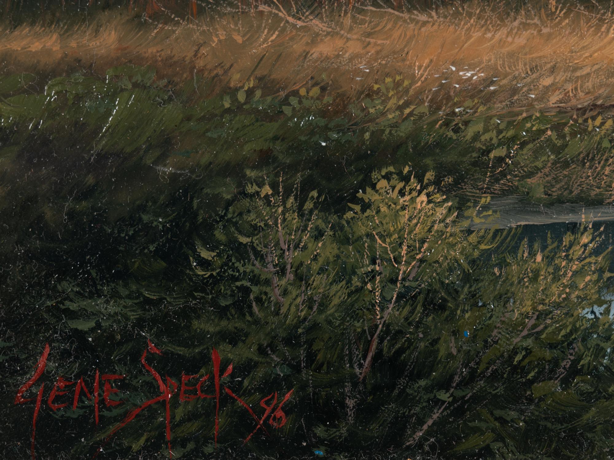 Mountain Spring Camp