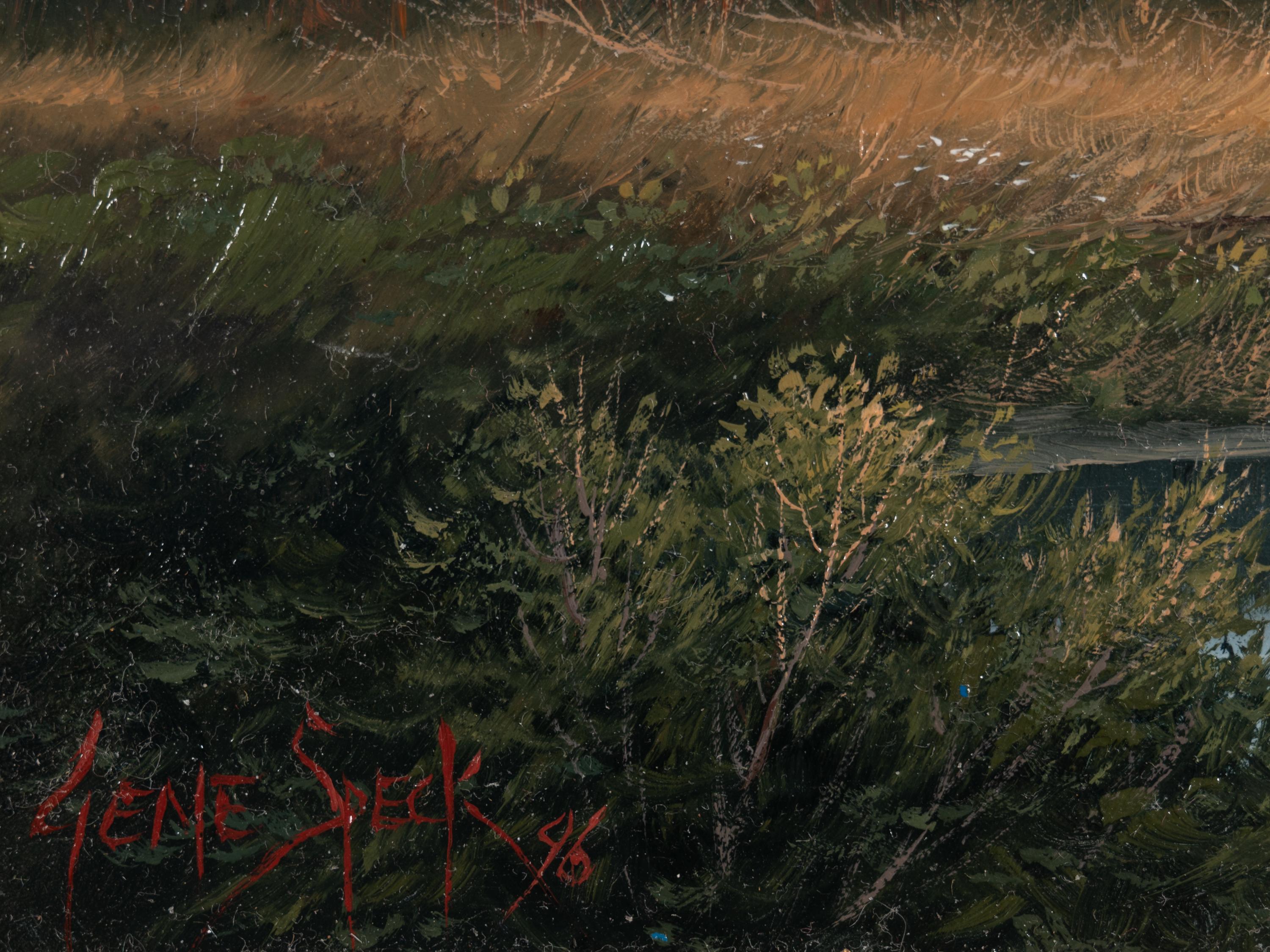 Mountain Spring Camp